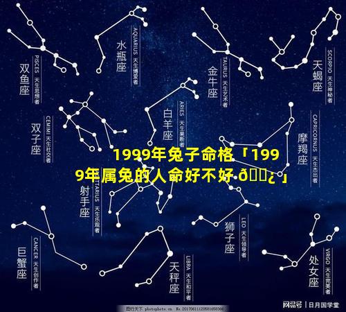 1999年兔子命格「1999年属兔的人命好不好 🌿 」